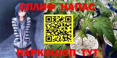 гидра Вышний Волочёк