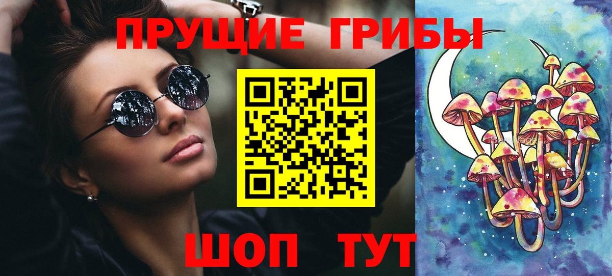 Псилоцибиновые грибы прущие грибы  Вход с VPN  Заволжье 