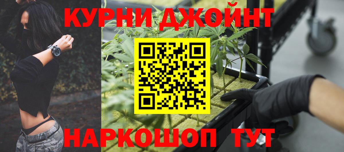 Бошки Шишки сатива  Бошки марихуана THC 21%  Заволжье  Вход с VPN 